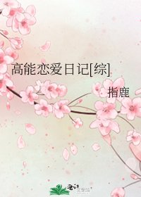 高能恋爱日记[综]